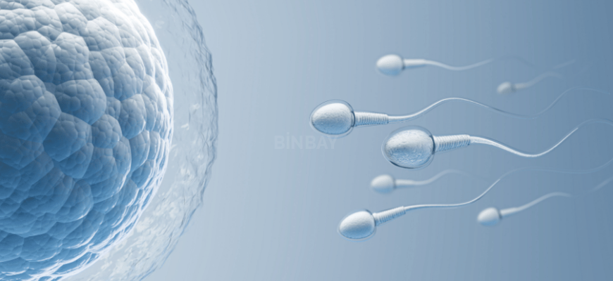 Doğurganlık ve Sperm Koruma